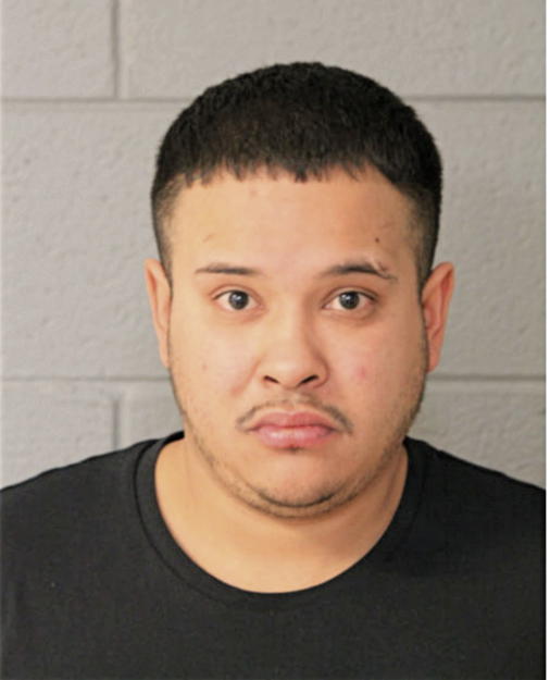LUIS G CARRIZALES, Cook County, Illinois