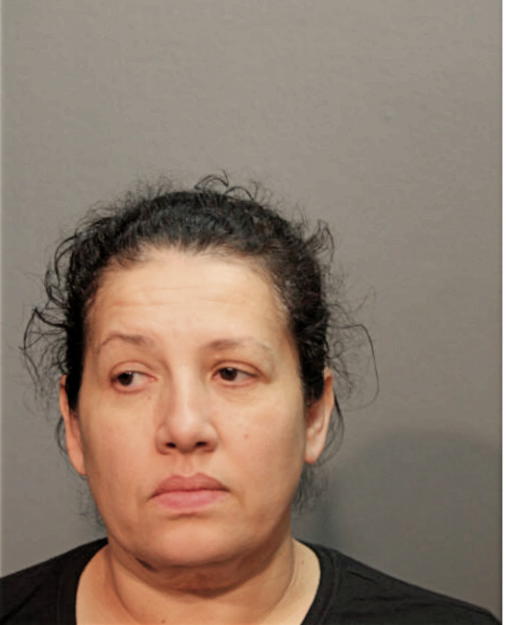 MAYRA CASTANEDA, Cook County, Illinois