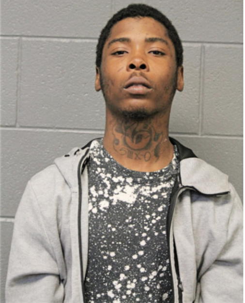 RAMON E DOBINE, Cook County, Illinois