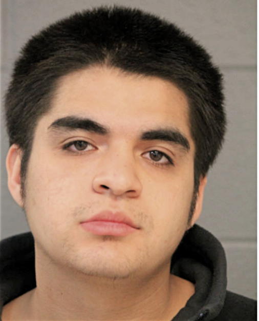 JOSE G FLORES-MARTINEZ, Cook County, Illinois