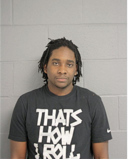 JOSHUA E GRAYER, Cook County, Illinois