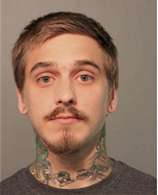 IAN M HARRIS, Cook County, Illinois