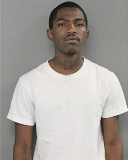 CHRISTOPHER A HINES, Cook County, Illinois