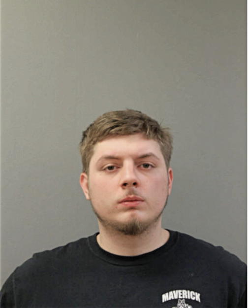 BESNIK ISMAJLAJ, Cook County, Illinois