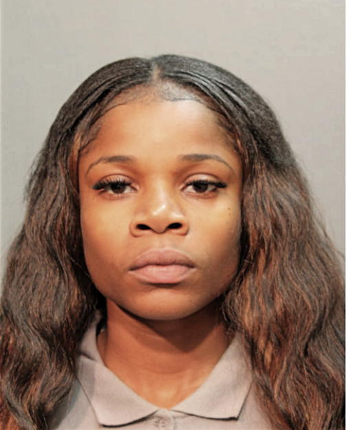 TERRI L JENKINS, Cook County, Illinois