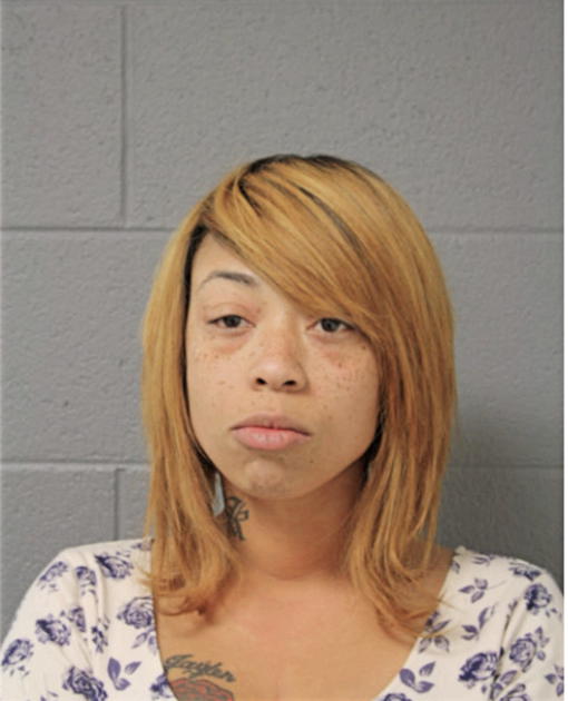 KRISTY J LEWIS, Cook County, Illinois