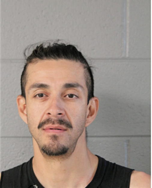 DAVID V PAVON, Cook County, Illinois