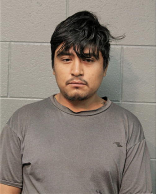 JOEL L RODRIGUEZ-SALAS, Cook County, Illinois