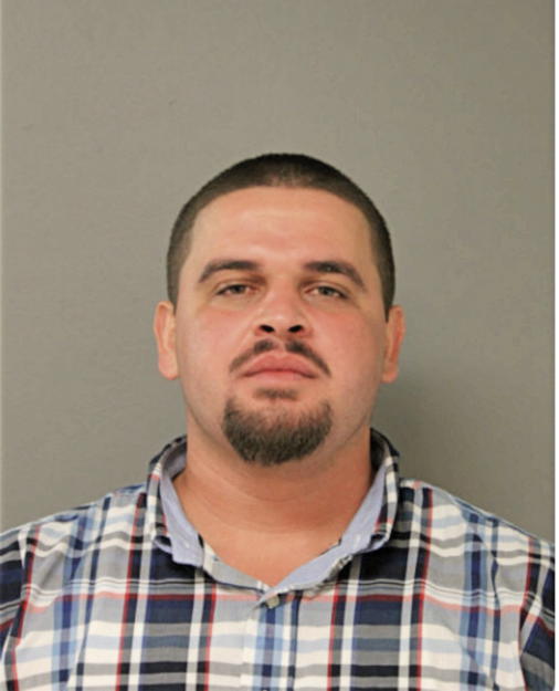 SAMIR SAKANOVIC, Cook County, Illinois