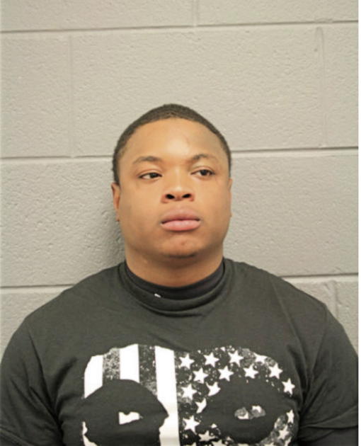STANLEY N STEWARD, Cook County, Illinois