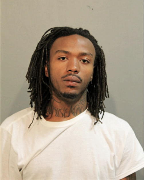 TERRENCE T HAMMOND, Cook County, Illinois