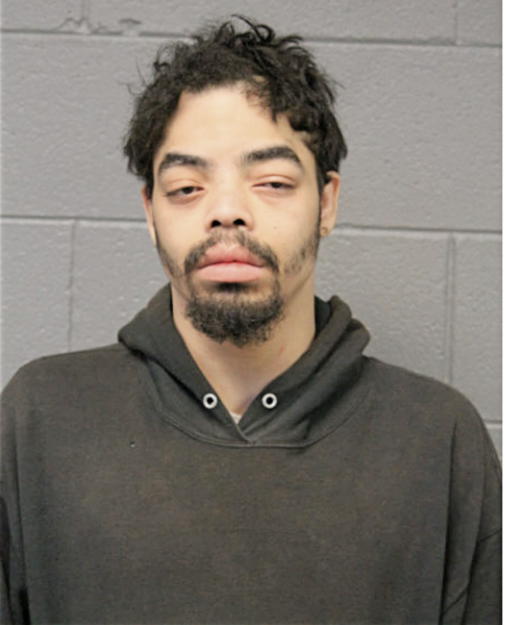 RUDY M THOMPSON, Cook County, Illinois
