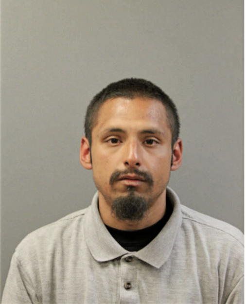 FRANCISCO J VEGA, Cook County, Illinois