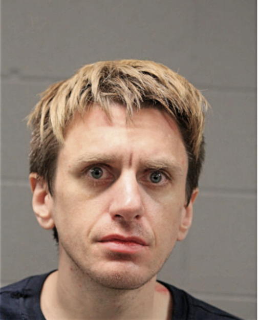 MATTHEW T WILLIAMS, Cook County, Illinois