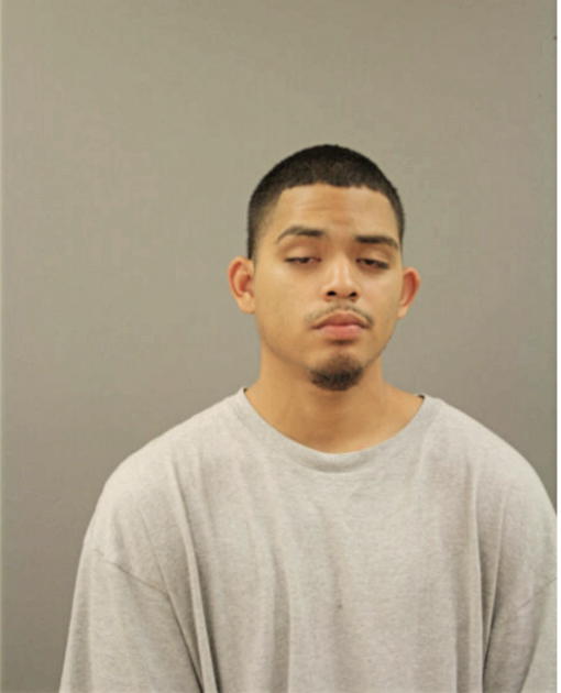 CARLOS R ALEGRIA, Cook County, Illinois