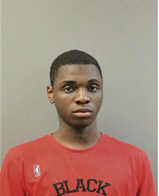 HARRY L ALFRED, Cook County, Illinois