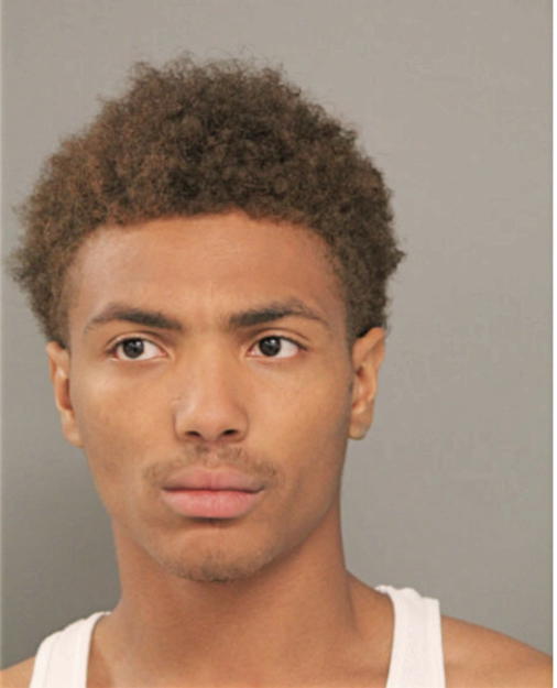 TYAIRE A BRYSON, Cook County, Illinois