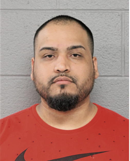 DANIEL CAMARENA, Cook County, Illinois