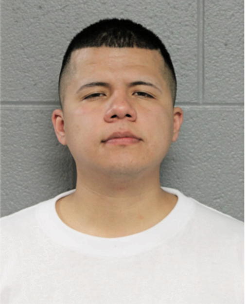 DAVID CARRENO, Cook County, Illinois