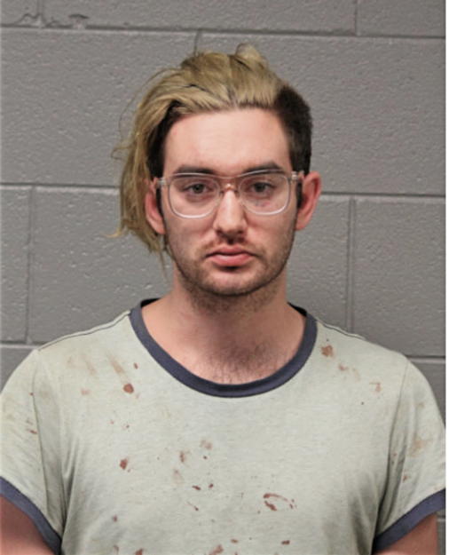 CAMERON L DONOVAN, Cook County, Illinois