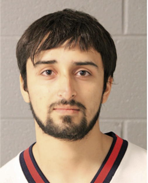 JOSE F FLORES, Cook County, Illinois