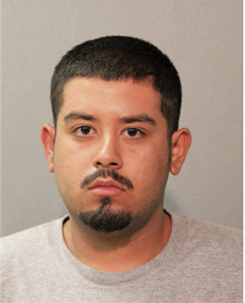 ELVIS GALEANO, Cook County, Illinois