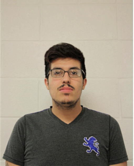RAUL GONZALEZ, Cook County, Illinois