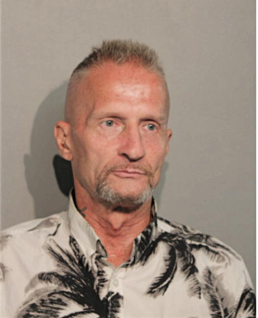 CHRISTOPHER W HAYES, Cook County, Illinois