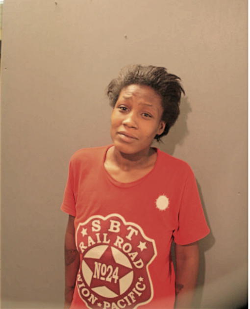 BRITTNEYS S IBITOYE, Cook County, Illinois