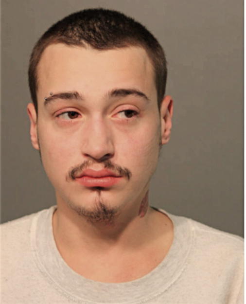 HARRY E KOZLOWSKI, Cook County, Illinois