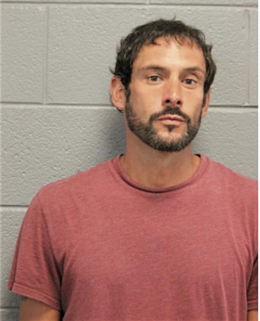 CHRISTOPHER L YOUNG, Cook County, Illinois
