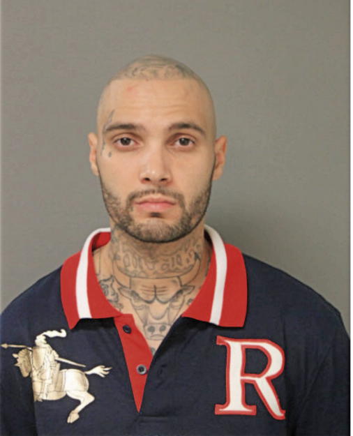 ANDRO J LABOY, Cook County, Illinois