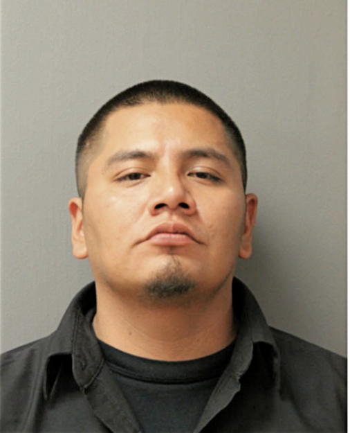 ALFONSO PATINO-GOMEZ, Cook County, Illinois