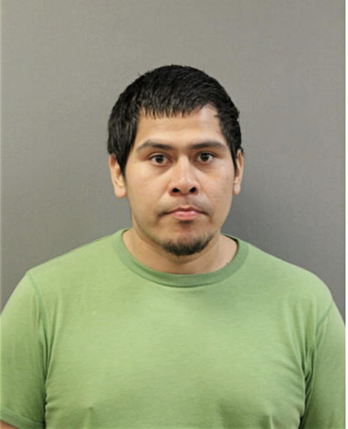 JOSE L PEREZ, Cook County, Illinois