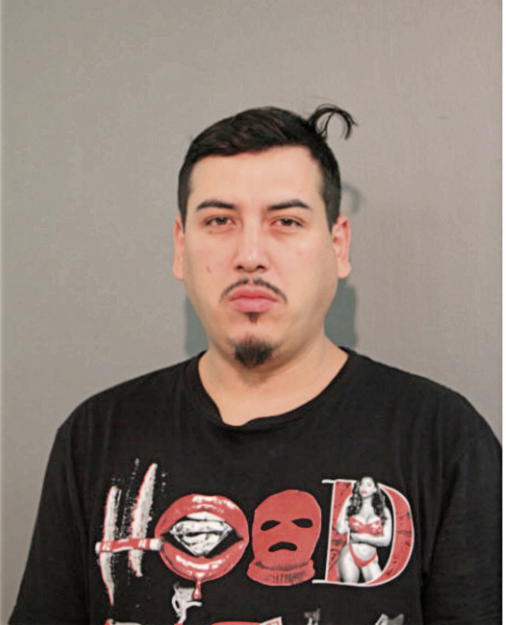 EDGAR RIVAS, Cook County, Illinois