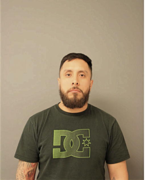 ERIC RUBEN ROMAN-GAONA, Cook County, Illinois