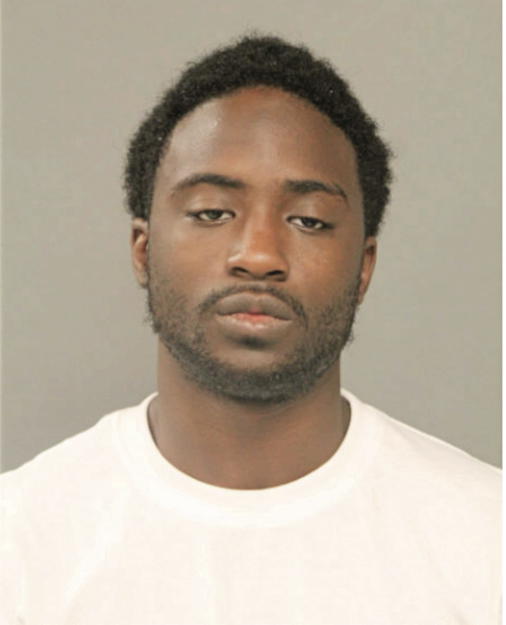 MICHAEL L SMITH, Cook County, Illinois