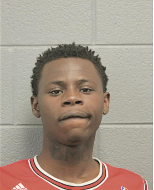 ROBERT A WOODS, Cook County, Illinois