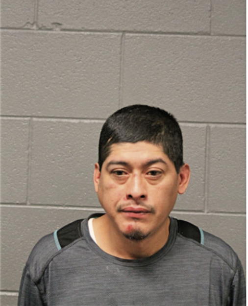 GUADALUPE ALVARES, Cook County, Illinois
