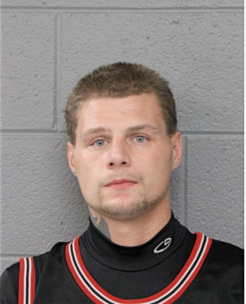 BRIAN M BERETA, Cook County, Illinois