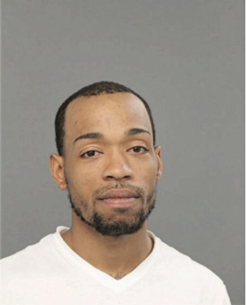TYVON L BIRTH, Cook County, Illinois