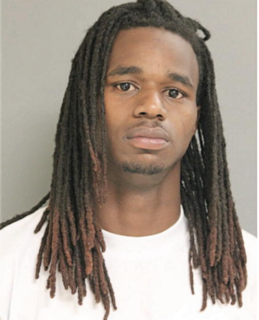 DESHAWN L BOSWELL, Cook County, Illinois