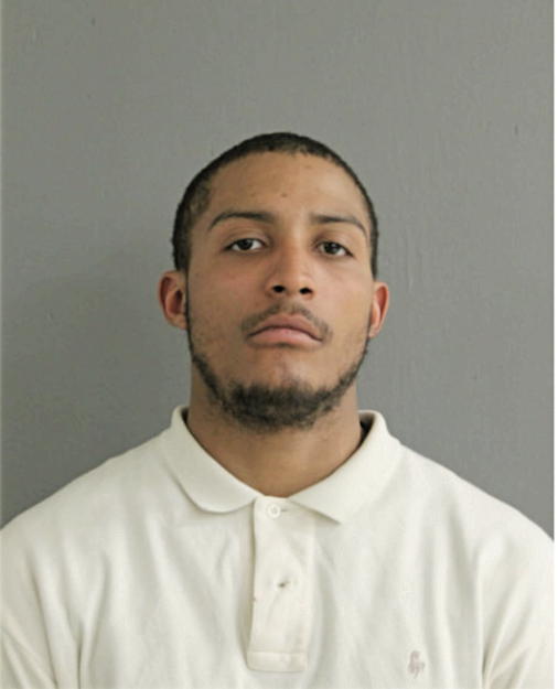 JERRY L BROWN, Cook County, Illinois