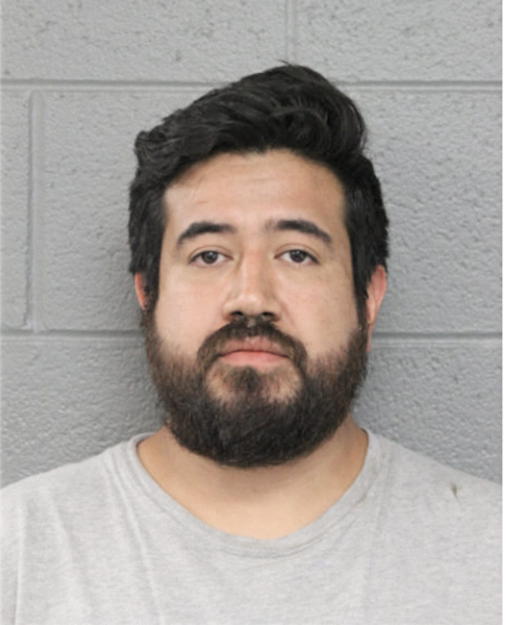 SALVADOR DIAZ, Cook County, Illinois