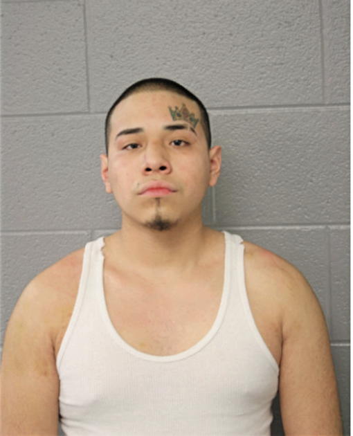 CHRISTIAN R FERREIRA, Cook County, Illinois