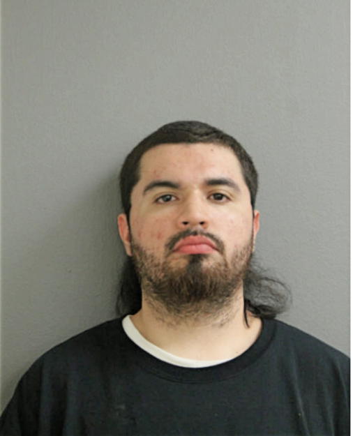 FELIPE A GARCIA, Cook County, Illinois