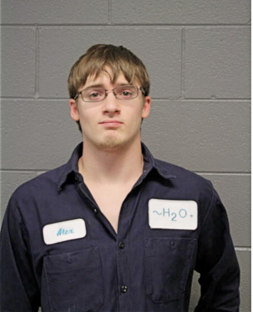 ALEXANDER J HANNAY, Cook County, Illinois