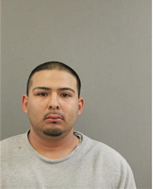 DARWIN DE LA ROSA, Cook County, Illinois