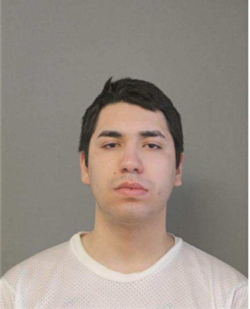 LUIS F MACEDO, Cook County, Illinois