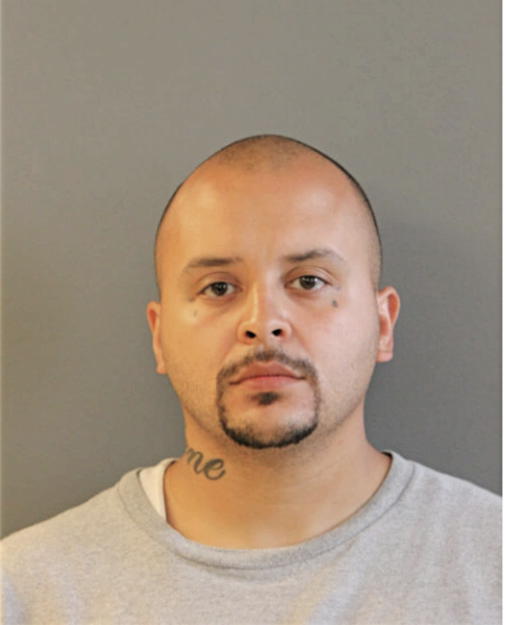 ALBERTO MANGUAL, Cook County, Illinois
